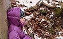 Stopovan na Hradisku
