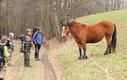 Dvoudenn vprava foto a turistickho krouku