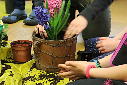 Guerilla gardening