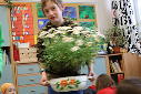 Guerilla gardening