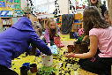 Guerilla gardening