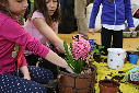 Guerilla gardening