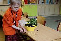 Guerilla gardening