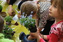 Guerilla gardening