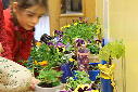 Guerilla gardening