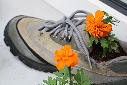 Guerilla gardening