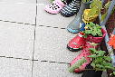 Guerilla gardening