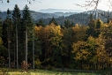 Fotokrouek