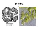 Prce s mikroskopy
