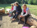 Vlet est tdy
