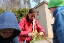 Velikonon slavnost