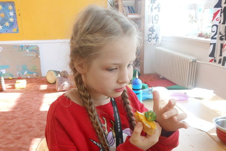 Projekt vely