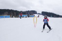 Lyžašský výcvik
