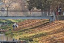 Podzimn slavnost