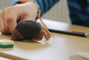 Laboratorní cvičení v VI. třídě