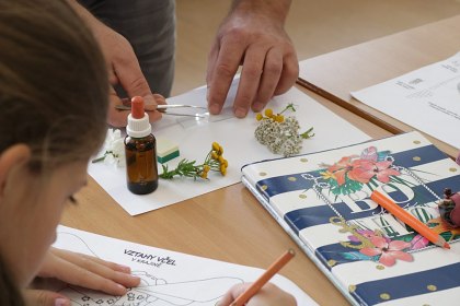 Vukov program - Biologie vely medonosn