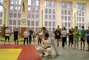 V tlocviku