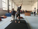 V tlocviku