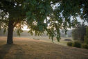 Pedn ocenn Lidice