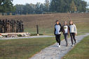 Pedn ocenn Lidice