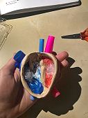 3D stavba srdce - 8.tda