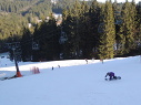 Lyask vcvik