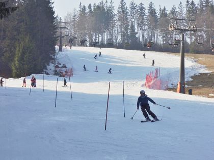 Lyask vcvik